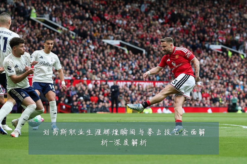 刘易斯职业生涯辉煌瞬间与拳击技艺全面解析-深度解析